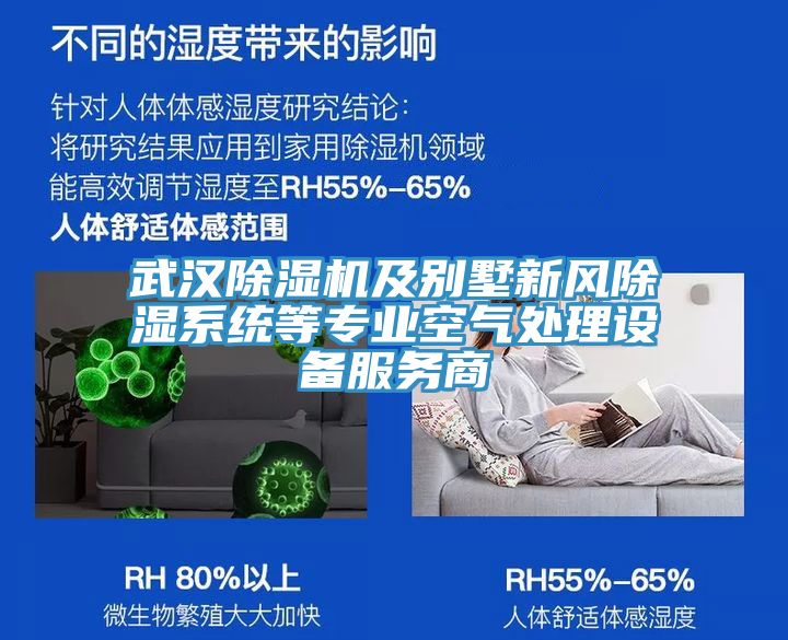 武汉91免费网站在线观看及别墅新风除湿系统等专业空气处理设备服务商