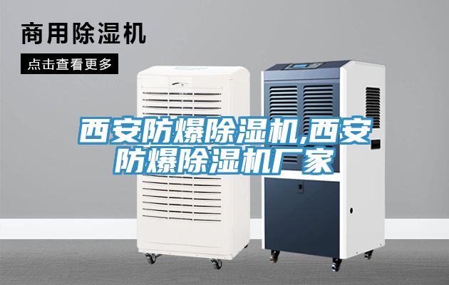 西安防爆91免费网站在线观看,西安防爆91免费网站在线观看厂家