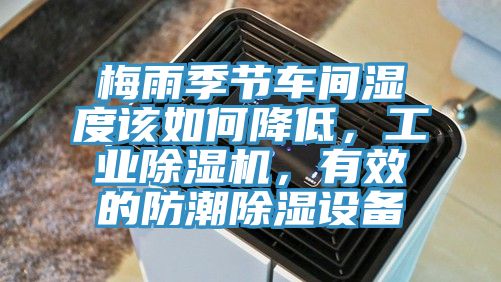 梅雨季节车间湿度该如何降低，工业91免费网站在线观看，有效的防潮除湿设备