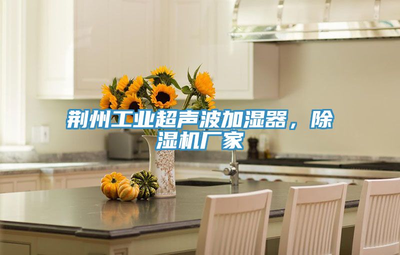 荆州工业超声波加湿器，91免费网站在线观看厂家