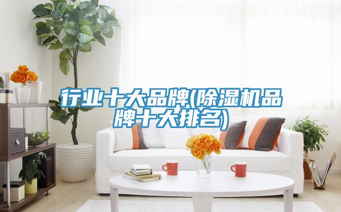 行业十大品牌(91免费网站在线观看品牌十大排名)