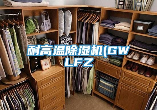 耐高温91免费网站在线观看(GWLFZ
