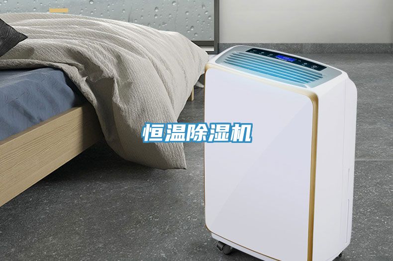 恒温91免费网站在线观看