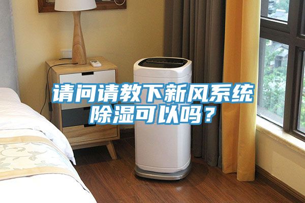 请问请教下新风系统除湿可以吗？