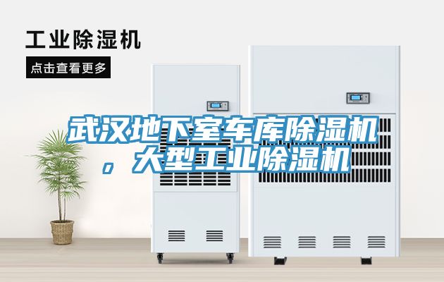 武汉地下室车库91免费网站在线观看，大型工业91免费网站在线观看