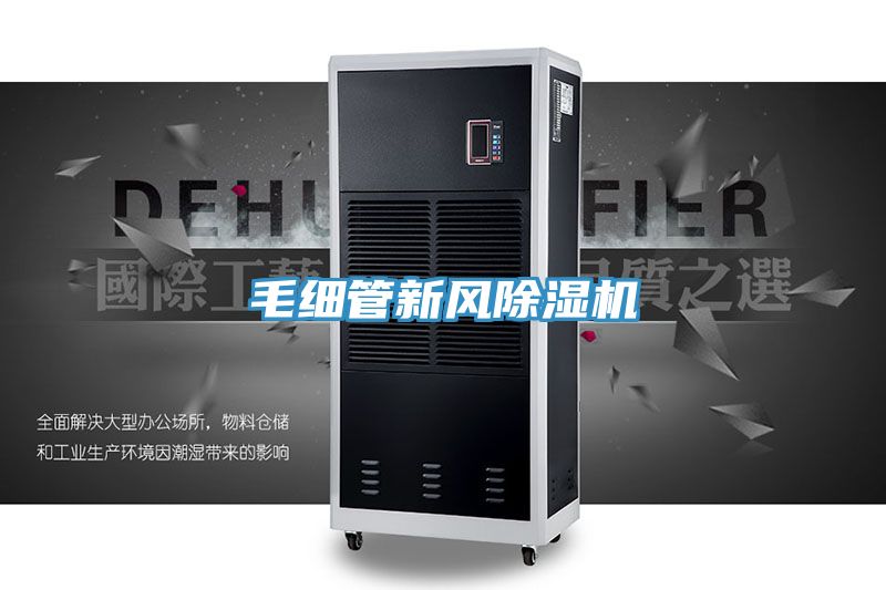 毛细管新风91免费网站在线观看