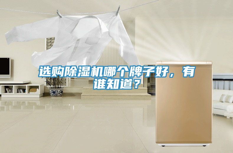 选购91免费网站在线观看哪个牌子好，有谁知道？