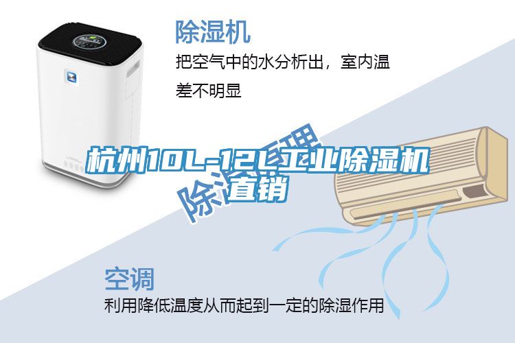 杭州10L-12L工业91免费网站在线观看直销