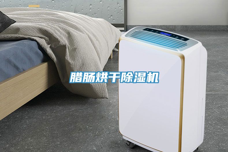腊肠烘干91免费网站在线观看