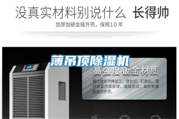 薄吊顶91免费网站在线观看