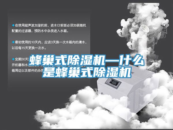 蜂巢式91免费网站在线观看—什么是蜂巢式91免费网站在线观看