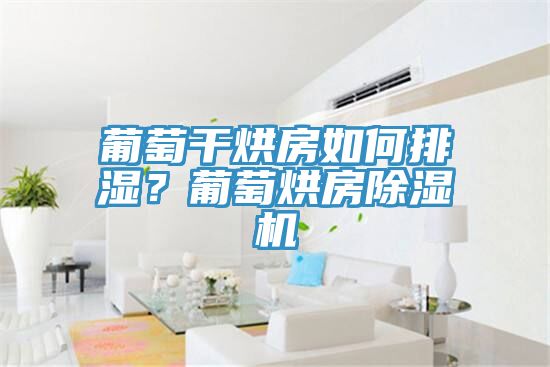 葡萄干烘房如何排湿？葡萄烘房91免费网站在线观看