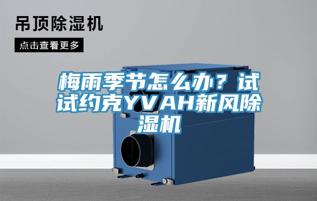 梅雨季节怎么办？试试约克YVAH新风91免费网站在线观看