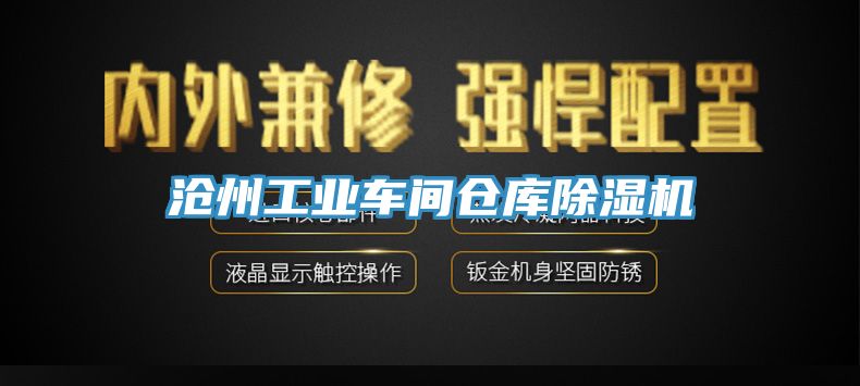 沧州工业车间仓库91免费网站在线观看