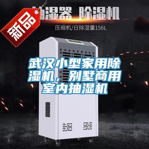 武汉小型家用91免费网站在线观看，别墅商用室内抽湿机