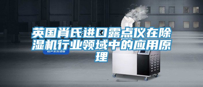 英国肖氏进口露点仪在91免费网站在线观看行业领域中的应用原理