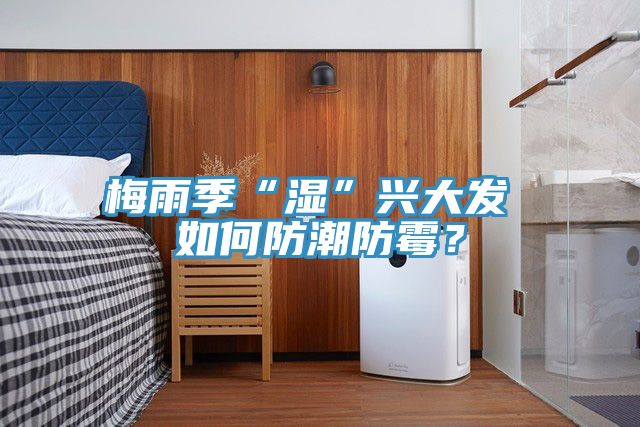 梅雨季“湿”兴大发 如何防潮防霉？