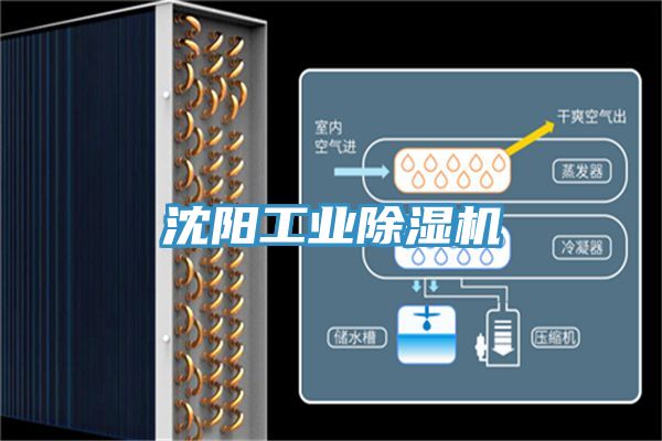 沈阳工业91免费网站在线观看