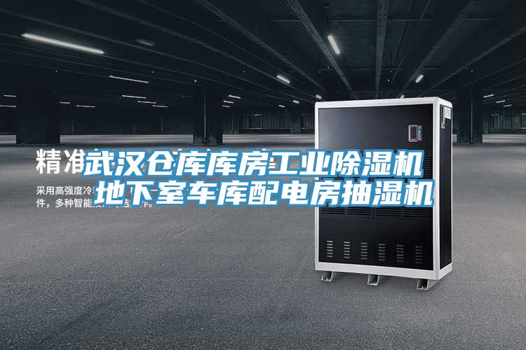 武汉仓库库房工业91免费网站在线观看 地下室车库配电房抽湿机