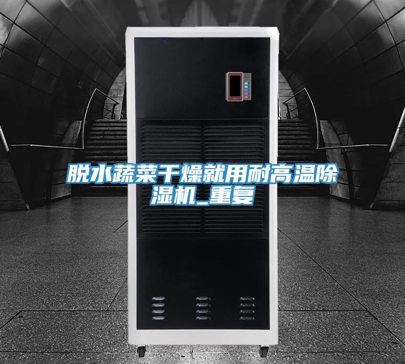 脱水蔬菜干燥就用耐高温91免费网站在线观看_重复