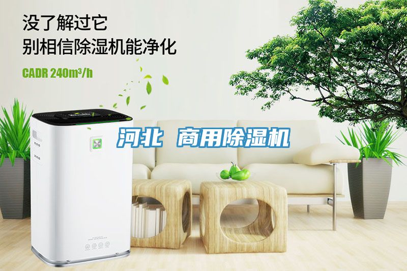 河北 商用91免费网站在线观看