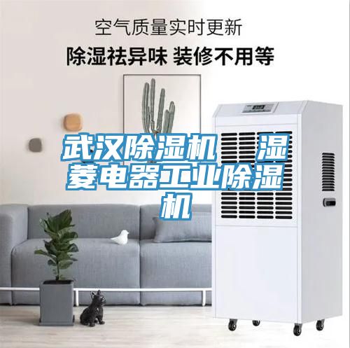 武汉91免费网站在线观看  湿菱电器工业91免费网站在线观看