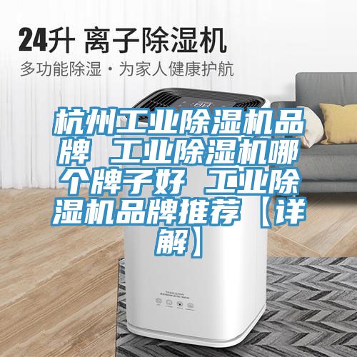 杭州工业91免费网站在线观看品牌 工业91免费网站在线观看哪个牌子好 工业91免费网站在线观看品牌推荐【详解】