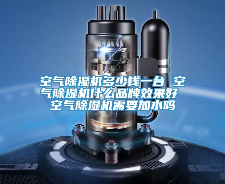 空气91免费网站在线观看多少钱一台 空气91免费网站在线观看什么品牌效果好 空气91免费网站在线观看需要加水吗