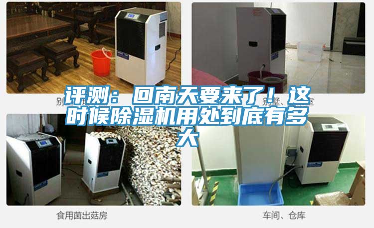 评测：回南天要来了！这时候91免费网站在线观看用处到底有多大