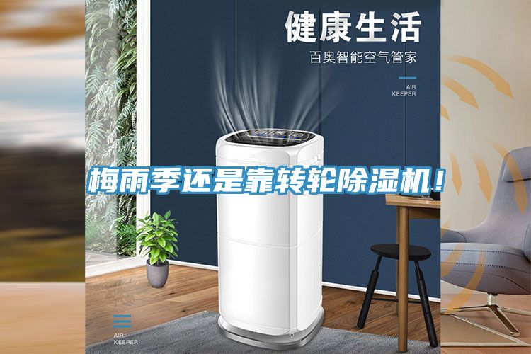 梅雨季还是靠转轮91免费网站在线观看！