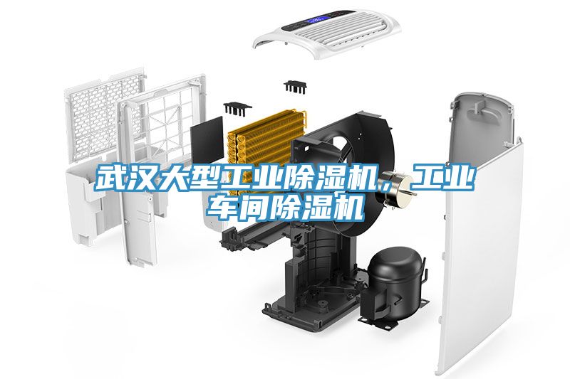 武汉大型工业91免费网站在线观看，工业车间91免费网站在线观看