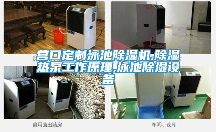 营口定制泳池91免费网站在线观看,除湿热泵工作原理,泳池除湿设备