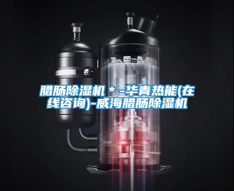 腊肠91免费网站在线观看＊-华青热能(在线咨询)-威海腊肠91免费网站在线观看