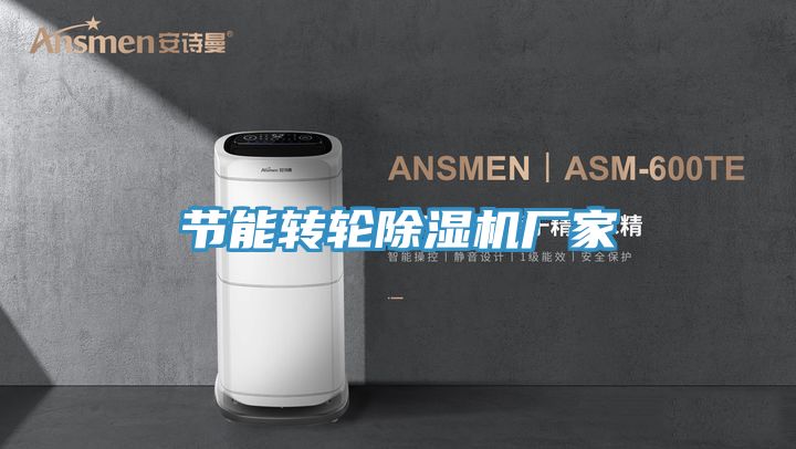 节能转轮91免费网站在线观看厂家