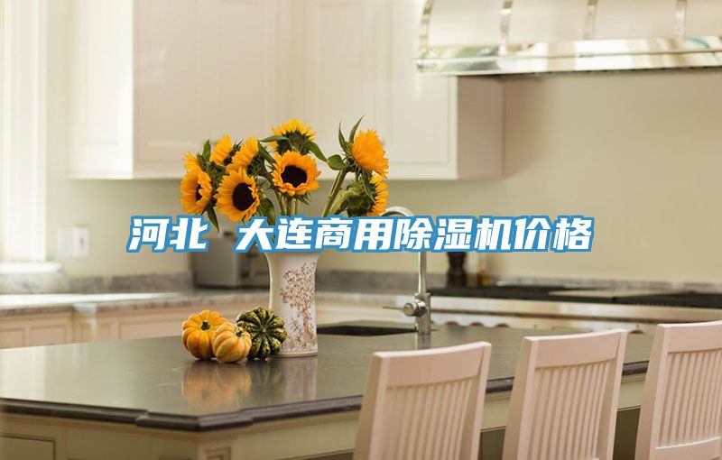 河北 大连商用91免费网站在线观看价格