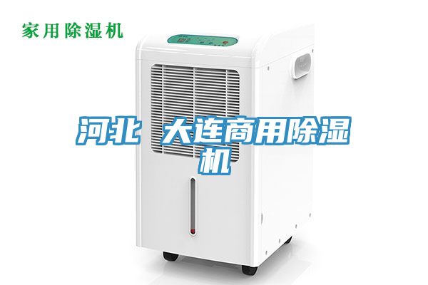 河北 大连商用91免费网站在线观看