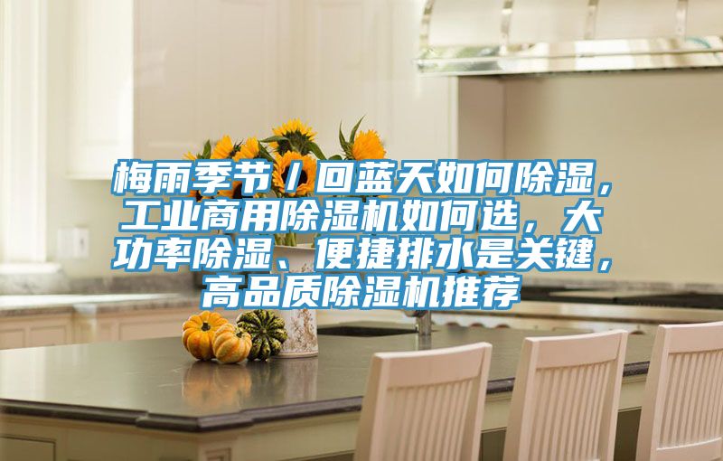 梅雨季节／回蓝天如何除湿，工业商用91免费网站在线观看如何选，大功率除湿、便捷排水是关键，高品质91免费网站在线观看推荐
