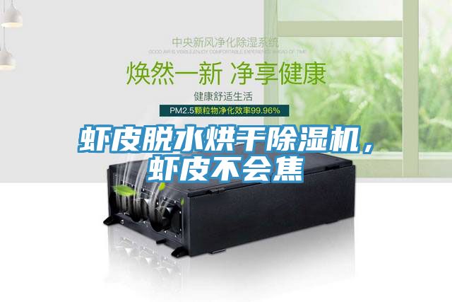 虾皮脱水烘干91免费网站在线观看，虾皮不会焦