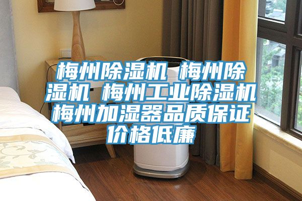 梅州91免费网站在线观看☆梅州91免费网站在线观看☆梅州工业91免费网站在线观看☆梅州加湿器品质保证价格低廉