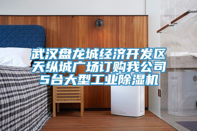 武汉盘龙城经济开发区天纵城广场订购我公司5台大型工业91免费网站在线观看