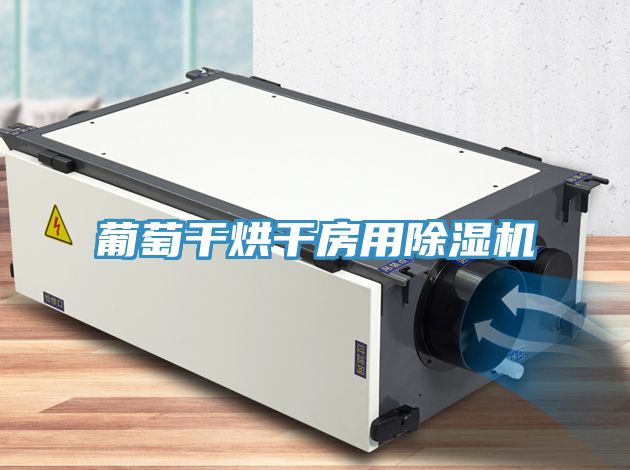 葡萄干烘干房用91免费网站在线观看