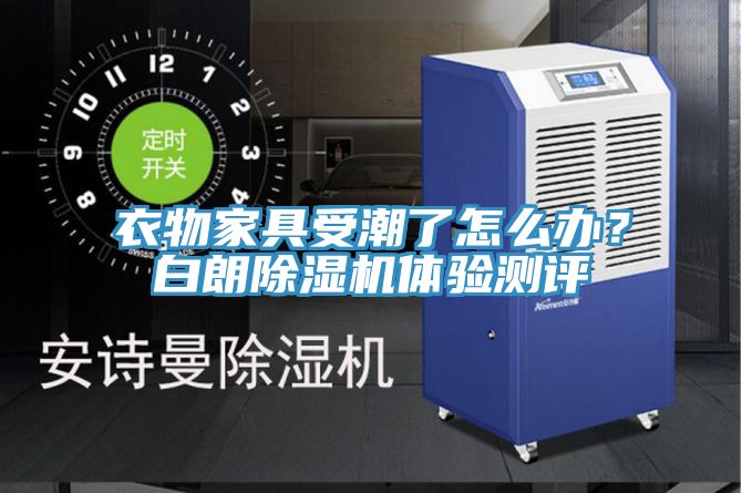衣物家具受潮了怎么办？白朗91免费网站在线观看体验测评