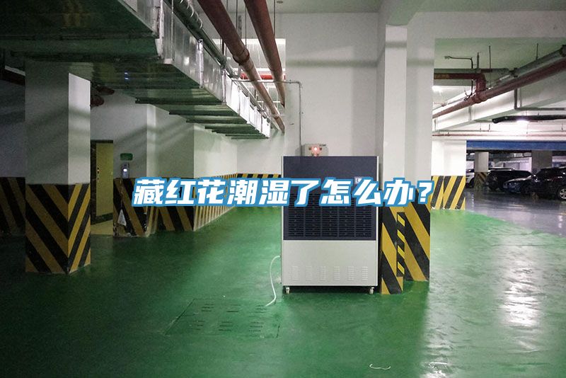 藏红花潮湿了怎么办？