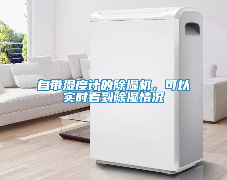 自带湿度计的91免费网站在线观看，可以实时看到除湿情况