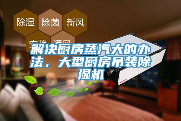 解决厨房蒸汽大的办法，大型厨房吊装91免费网站在线观看