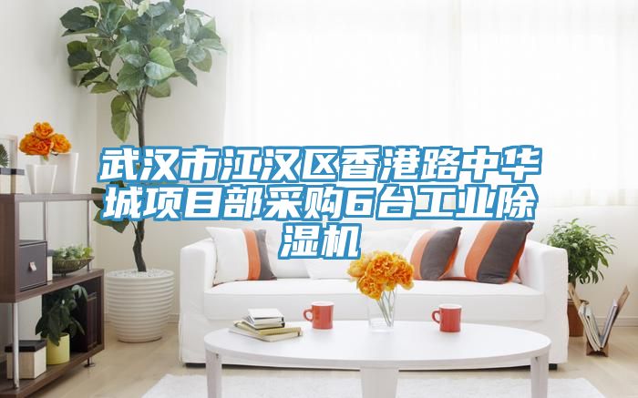 武汉市江汉区香港路中华城项目部采购6台工业91免费网站在线观看
