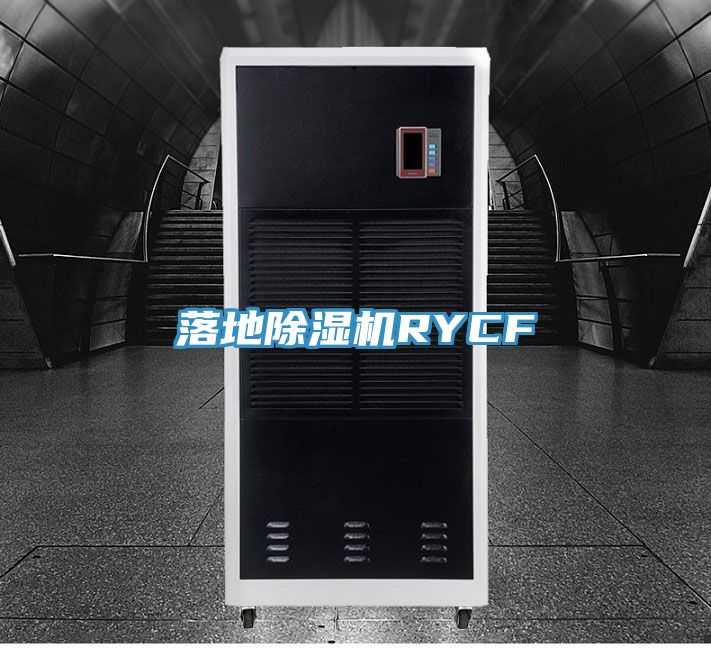 落地91免费网站在线观看RYCF