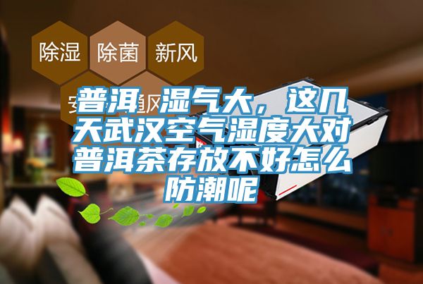 普洱 湿气大，这几天武汉空气湿度大对普洱茶存放不好怎么防潮呢