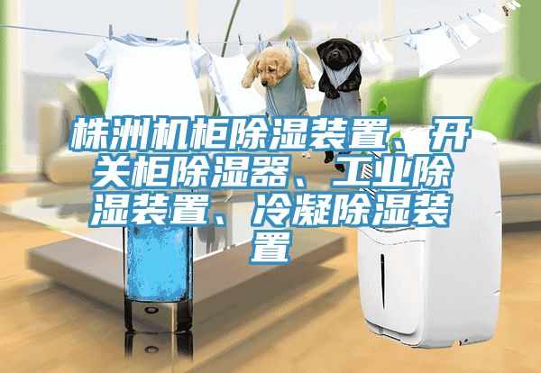 株洲机柜除湿装置、开关柜除湿器、工业除湿装置、冷凝除湿装置