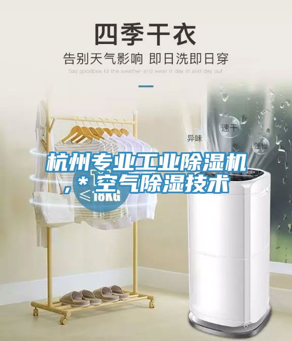 杭州专业工业91免费网站在线观看,＊空气除湿技术